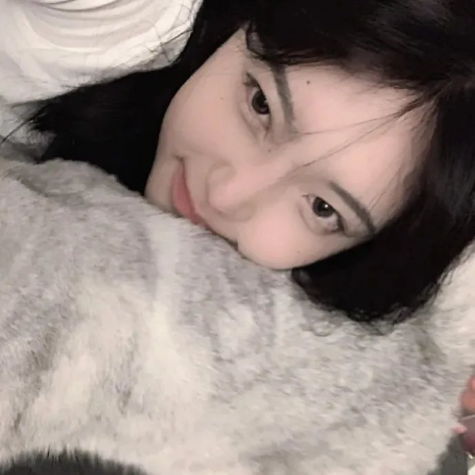 持续更新